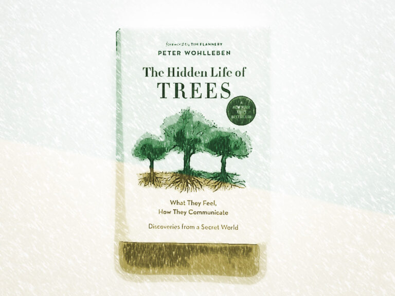 3 Ways Trees Are Like Animals