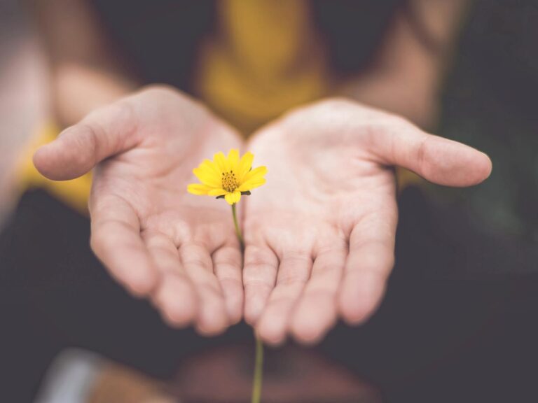 Closeup of a woman's hands offering a yellow flower.