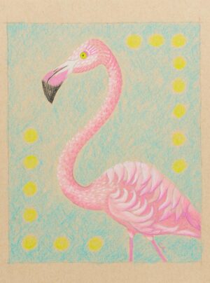 Pink, Pink Flamingo