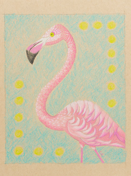 Flamingo drawing with aqua background