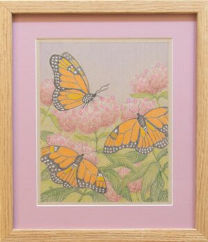 Monarchs and Milkweed