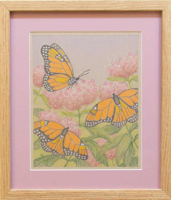 Monarchs and Milkweed